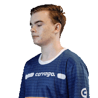 Team Esports Sticker by VirtualGP