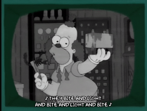 homer simpson GIF