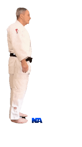 Grappling Martial Arts Sticker by NA Effective Fighting