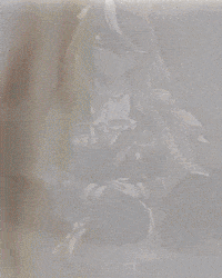 Dad Aura GIF