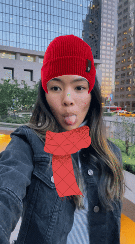 ARLensChallenge giphyupload GIF