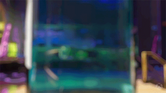 Penguin Yes GIF by Xbox
