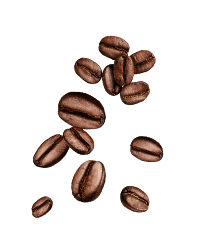 Coffee Beans Cold Brew Sticker by katerinaharcubova