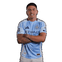 Mls Sticker by New York City FC
