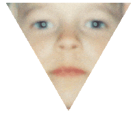 Vesala Sticker by Warner Music Finland