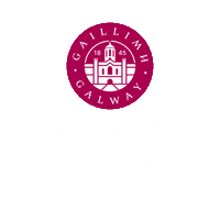 Nuig Gaillimh Sticker by University of Galway