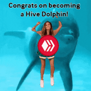 hivegifs giphyupload GIF