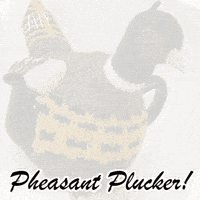 Happy Birthday Bird GIF by TeaCosyFolk
