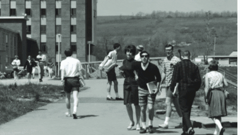 GIF by Binghamton University