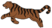 Orange Tiger Sticker by Oracle Soul