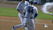 Major League Baseball Sport GIF by MLB