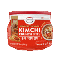 Kimchi Sticker by Jongga Global