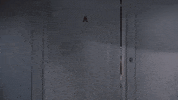 watching white christmas GIF
