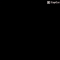 Miami Canes GIF