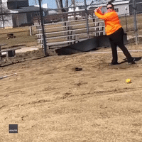 Foul Ball! Softball Practice Video Ends With Phone Taking Direct Hit