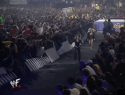 stephanie mcmahon wrestling GIF by WWE