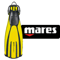 Dive Diving Sticker by MARES Brasil