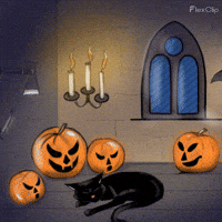 Black Cat Halloween GIF