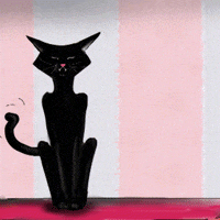 MrPawmantic no cats mrpawmantic GIF