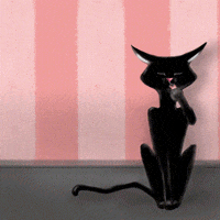 MrPawmantic cats not interested mrpawmantic GIF