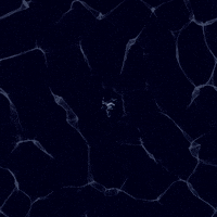 happyantsstudio animation loop blue water GIF