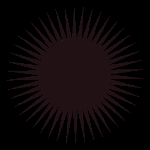 koloradofesztival giphygifmaker sun shape geometric GIF