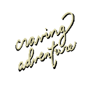 Adventure Traveling Sticker