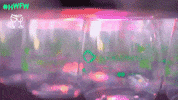 hawaiifoodandwinefestival  GIF