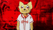 El Paso What GIF by El Paso Chihuahuas