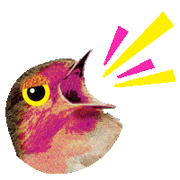 Angry Playwrights Horizons Sticker by phnyc
