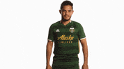 Portland Timbers GIF by Timbers