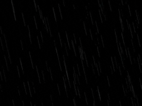 Lords Of Salem GIF by Rob Zombie