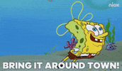 GIF by SpongeBob SquarePants