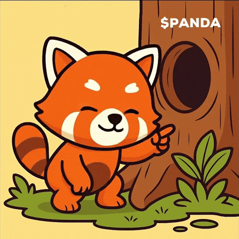 Red Panda Hello GIF by PandaMania
