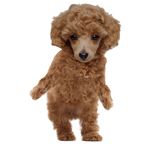 dog dab Sticker by MISO PUP