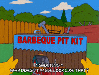 episode 17 barbecue GIF