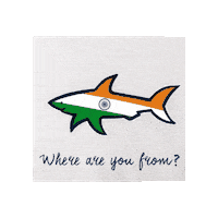 Flag Shark Sticker by Paul&Shark