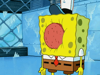 season 5 new digs GIF by SpongeBob SquarePants