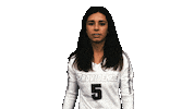 Volleyball Vb Sticker by Providence Friars