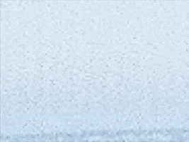 Tour Van GIF by cleopatrick