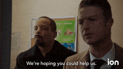 Law And Order Svu GIF by ION