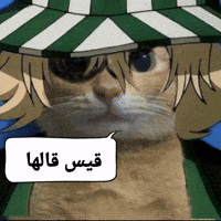 قيس قالها GIF