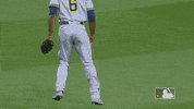 Regular Season Sport GIF by MLB