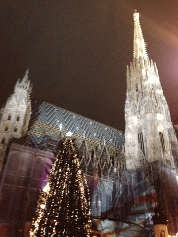 vienna GIF