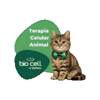 Terapia Celular Sticker by BIO CELL by Vetnil