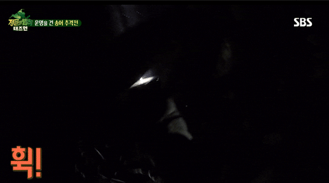 stevefrank1 giphyupload GIF