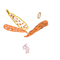 ciernalabut compost foodwaste kompost zachráňzvyšky Sticker