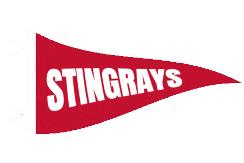 Echl Lets Go Rays Sticker by SCStingrays