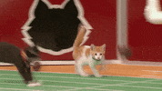 GIF by Hallmark Channel