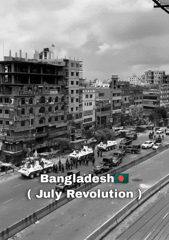 Sheikh Hasina Bangladesh GIF